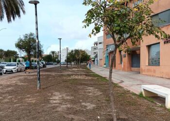 Primeros nuevos árboles plantados en la zona / FOTO: Ayto.