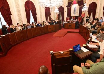 Momento de las votaciones en el pleno / FOTO: Eulogio García