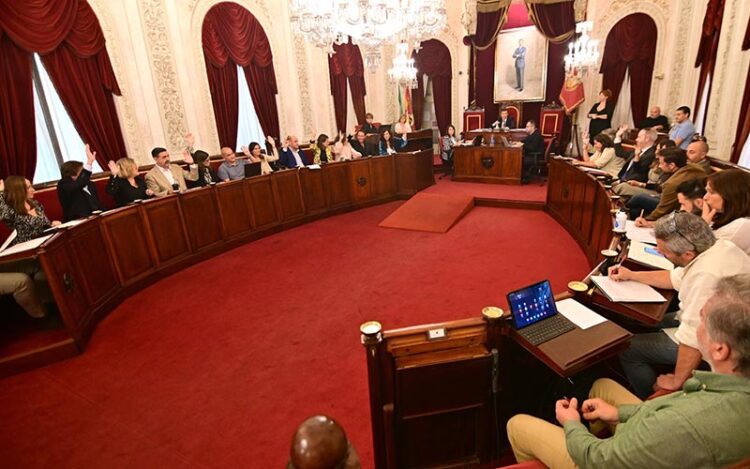 Momento de las votaciones en el pleno / FOTO: Eulogio García