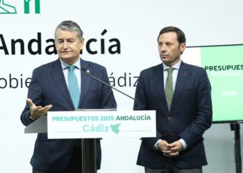 Sanz en su comparecencia en la delegación del Gobierno andaluz en Cádiz / FOTO: Junta