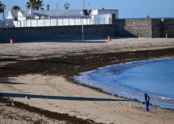 La playa de La Caleta amaneciendo meses atrás cubierta de este alga / FOTO: Eulogio García