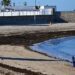 La playa de La Caleta amaneciendo meses atrás cubierta de este alga / FOTO: Eulogio García