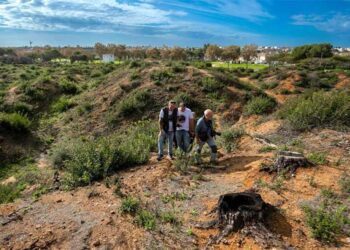 Supervisando la parcela reservada a la repoblación participativa / FOTO: Ecologistas en Acción