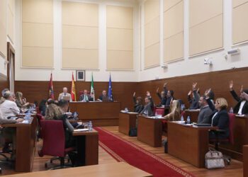 Momento de la votación de las cuentas / FOTO: Ayto.