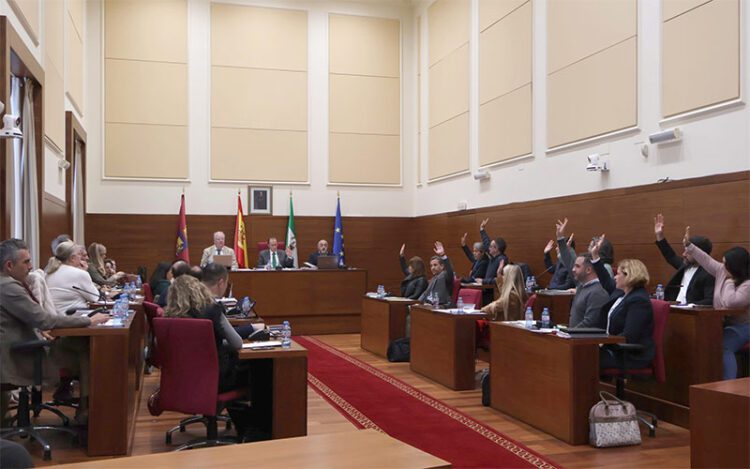 Momento de la votación de las cuentas / FOTO: Ayto.