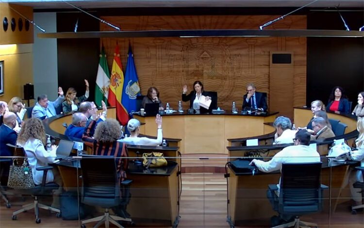 Los concejales del PSOE votando a favor / FOTO: Youtube