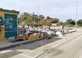 Donde debería haber naves y empresas, hoy hay basura sin control / FOTO: AxSí