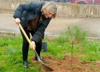 Una de las docentes jubiladas plantando su árbol / FOTO: cedida