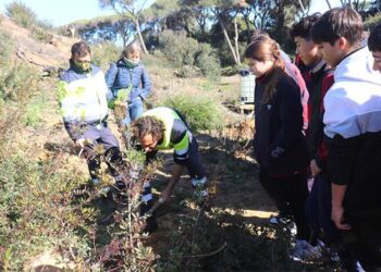 Grupo de escolares atento a una plantación / FOTO: Ayto.