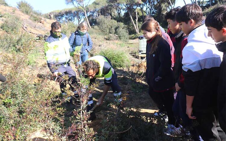 Grupo de escolares atento a una plantación / FOTO: Ayto.