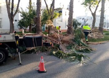 Trabajos de poda en marcha / FOTO: Ayto.