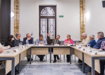 López Gil presidiendo el Consejo de Participación Ciudadana / FOTO: Ayto.