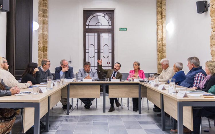 López Gil presidiendo el Consejo de Participación Ciudadana / FOTO: Ayto.