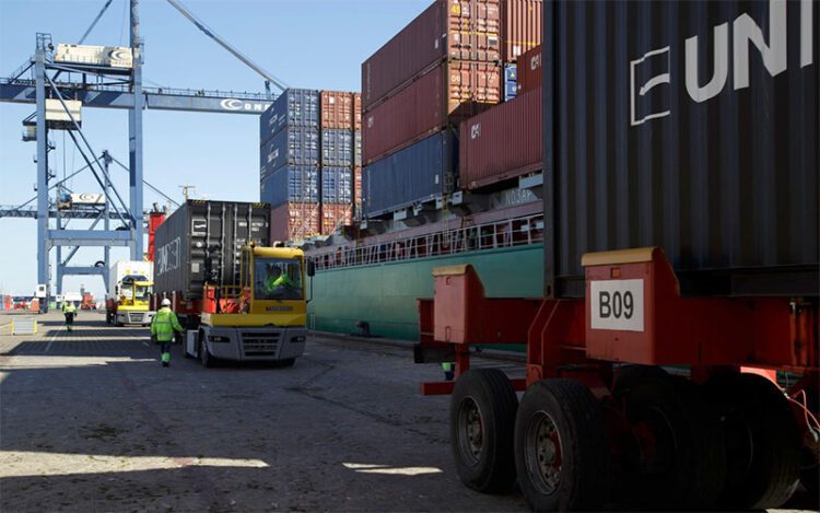 Actividad en el muelle Reina Sofía / FOTO: APBC