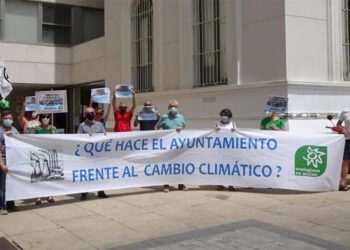 Una pasada protesta junto al Ayuntamiento / FOTO: Ecologistas en Acción