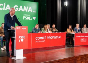 Ruiz Boix interviniendo en el reciente Comité provincial / FOTO: PSOE