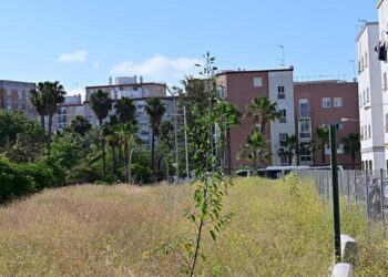 El solar que acogerá viviendas hoy día / FOTO: Eulogio García