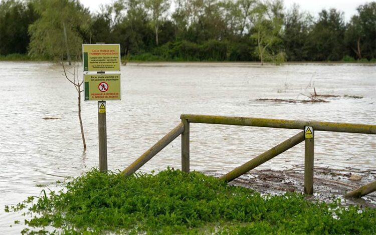 Uno de los tramos del río ya desbordado en la mañana del jueves / FOTO: Junta